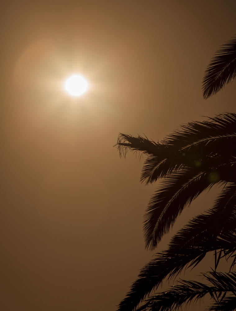 Fuerteventura Canary Islands 